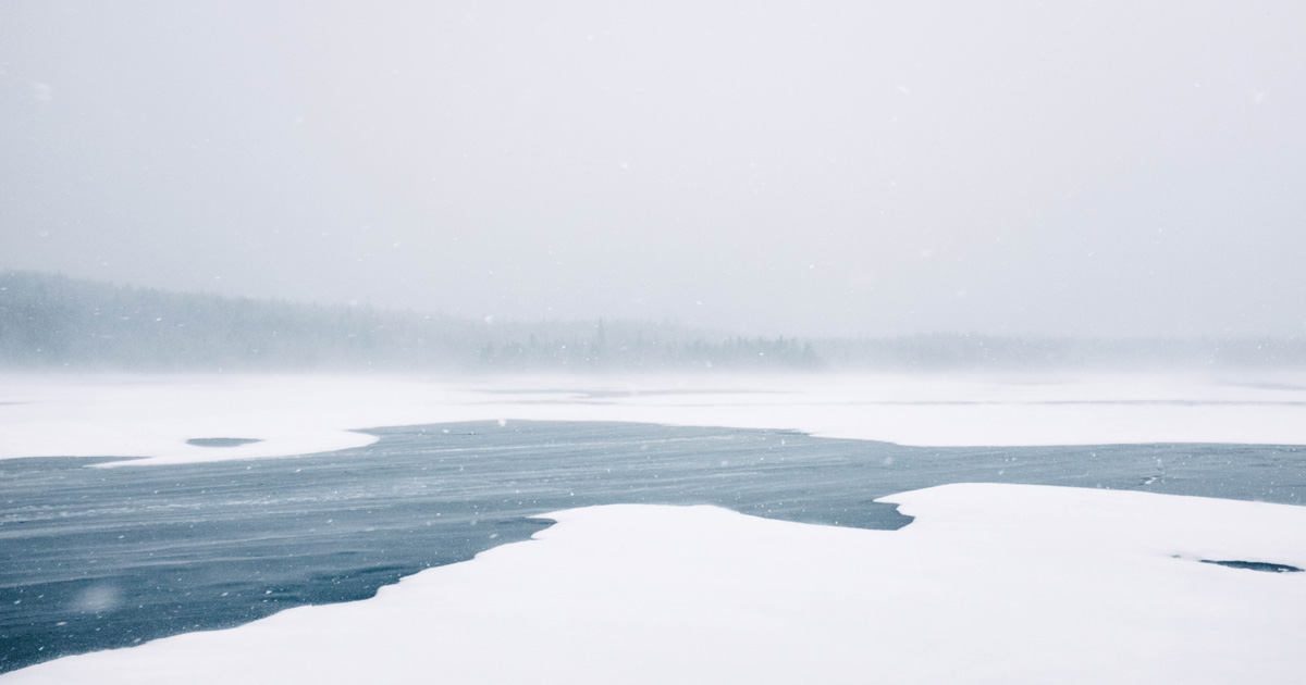 Tundra scene