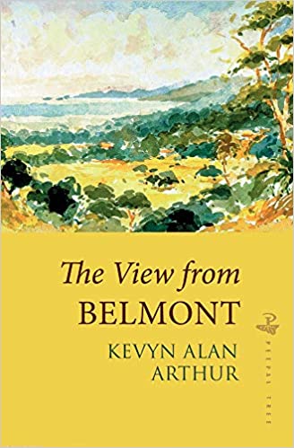 The View From Belmont by Kevyn Alan Arthur