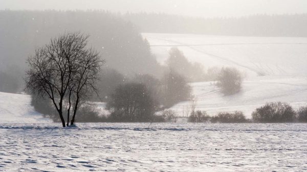 snow by john banville