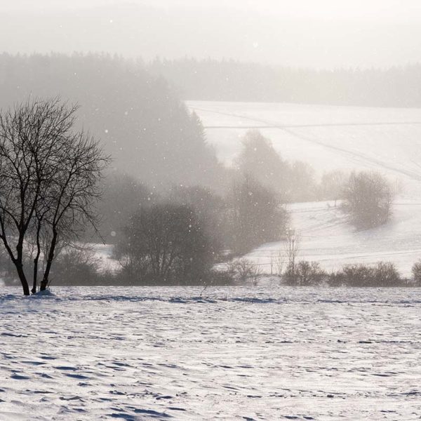 snow by john banville