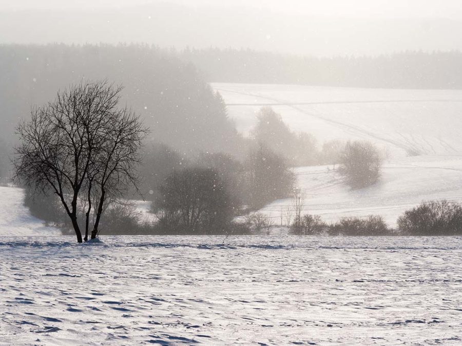 snow by john banville