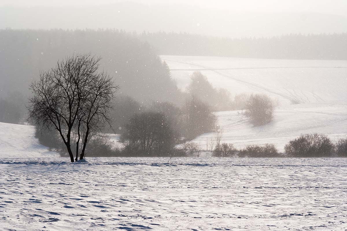 snow by john banville