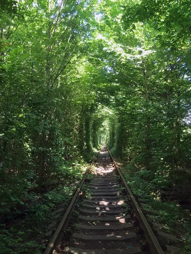 The "Tunnel of Love"