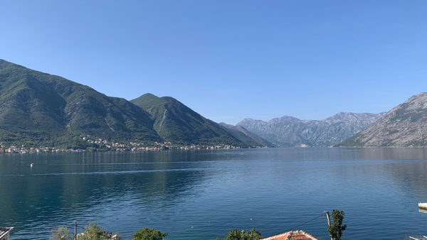 kotor