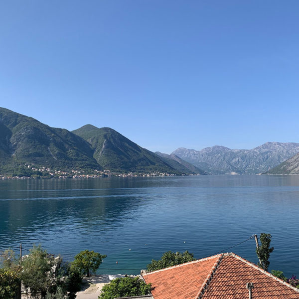 kotor