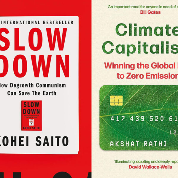 slow down vs climate capitalism