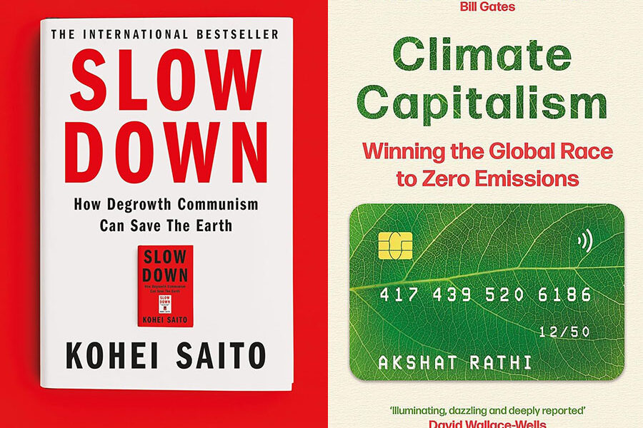 slow down vs climate capitalism