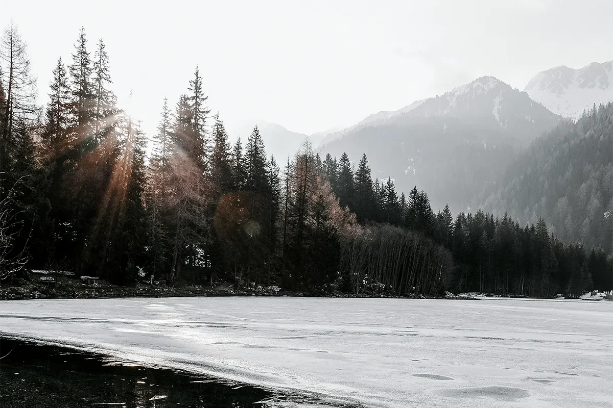 Dusk by Robbie Arnott review