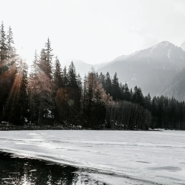 Dusk by Robbie Arnott review