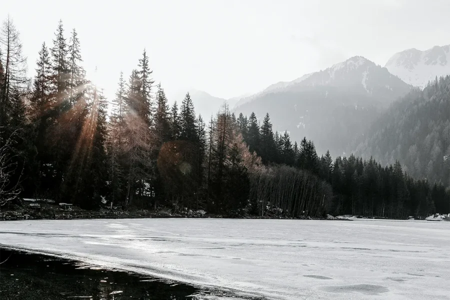 Dusk by Robbie Arnott review