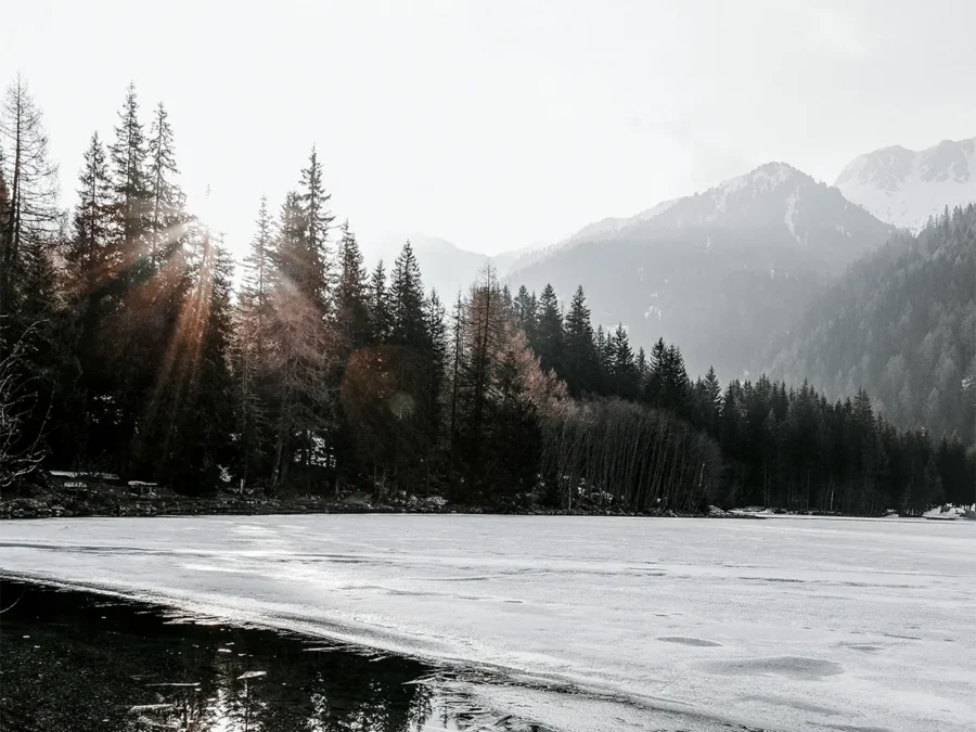 Dusk by Robbie Arnott review