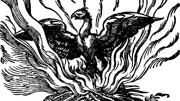 Phoenix by Emblemata Nicolai Reusneri 1583