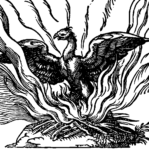 Phoenix by Emblemata Nicolai Reusneri 1583
