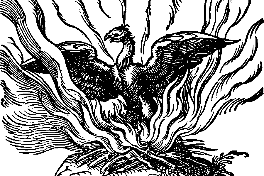 Phoenix by Emblemata Nicolai Reusneri 1583