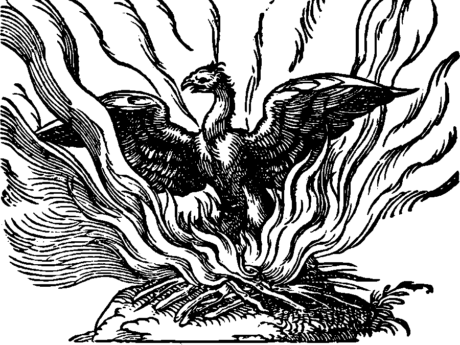 Phoenix by Emblemata Nicolai Reusneri 1583